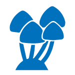 micologia